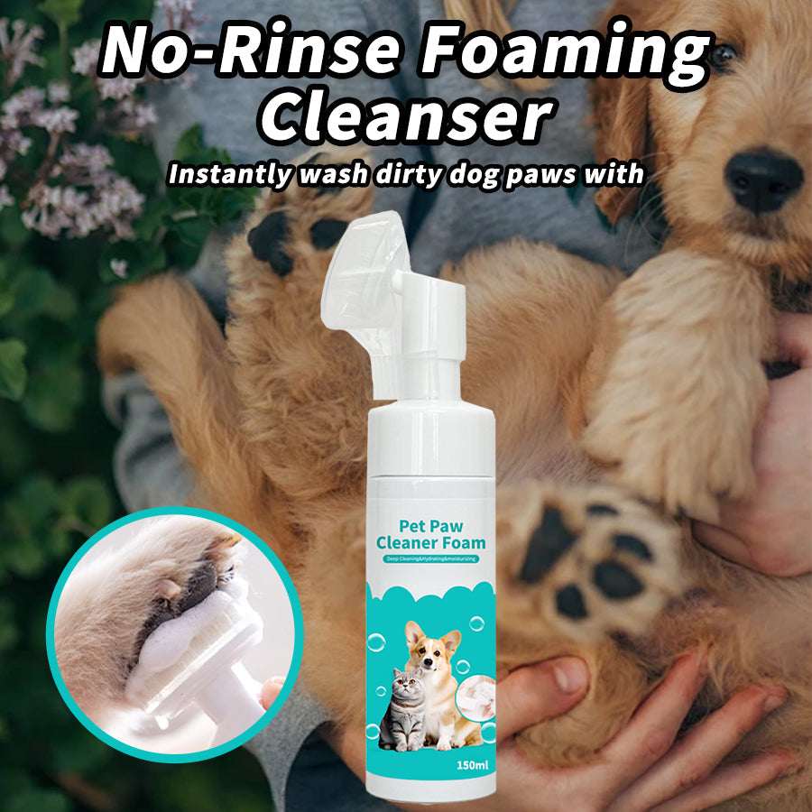 Protect Your Pet's Paws: Deep Cleaning Tips