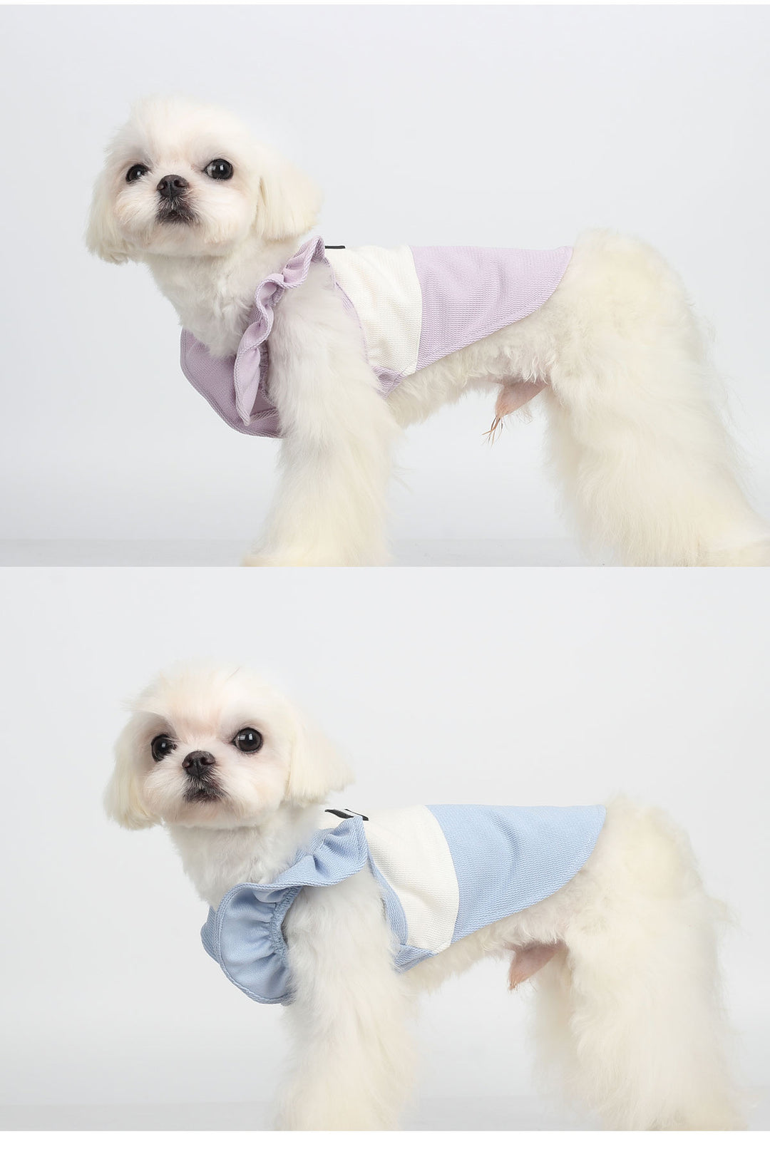 High elastic fabric, easy to put on and take off, summer flying sleeves, new pet clothes launched