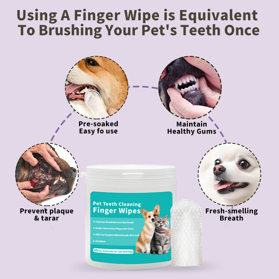 Pet teeth cleaning wipes.Take care of your pet's oral health.Clean teeth and freshen breath