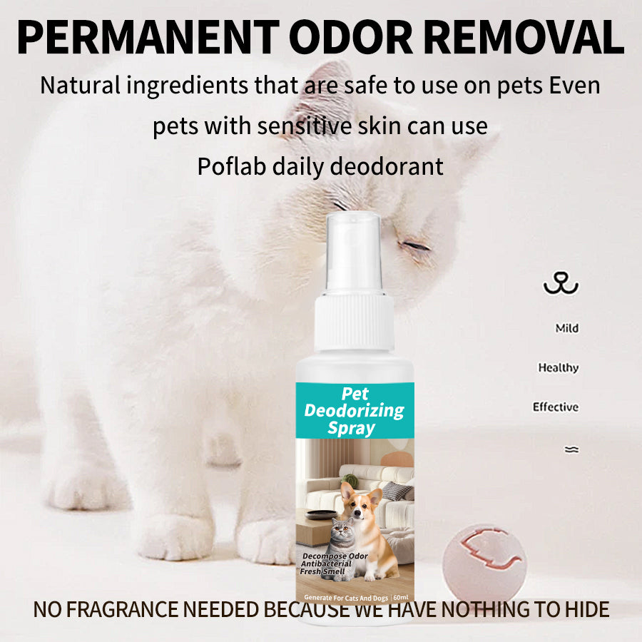 Pet deodorizing spray. Decompose odor factors.The sterilization rate reaches 99.99%!!