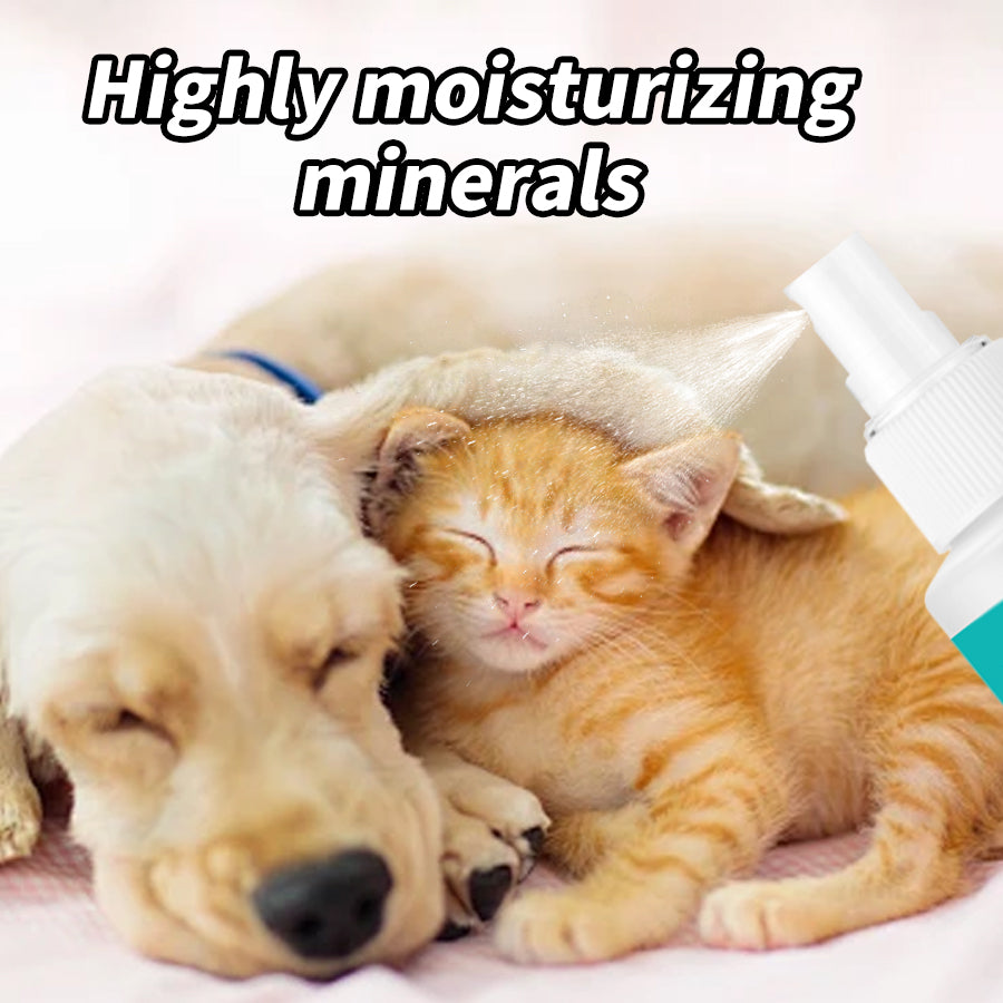 Pet deodorizing spray. Decompose odor factors.The sterilization rate reaches 99.99%!!