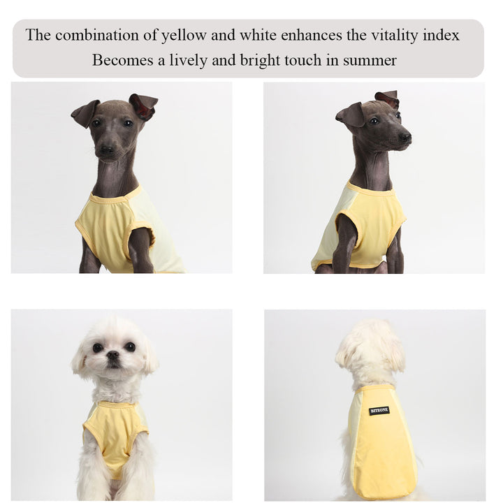 Pet sun protection clothing UPF50+ protection, cool fabrics Best selling in 2024 summer!