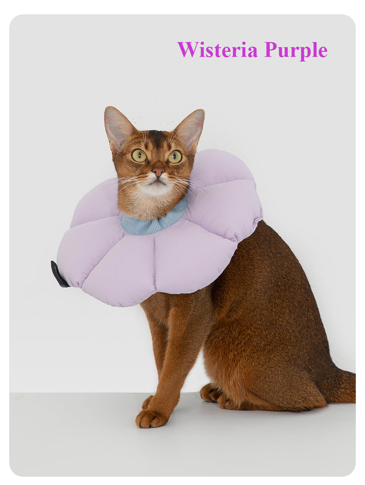 【Cats】Pet flower elizabethan collar