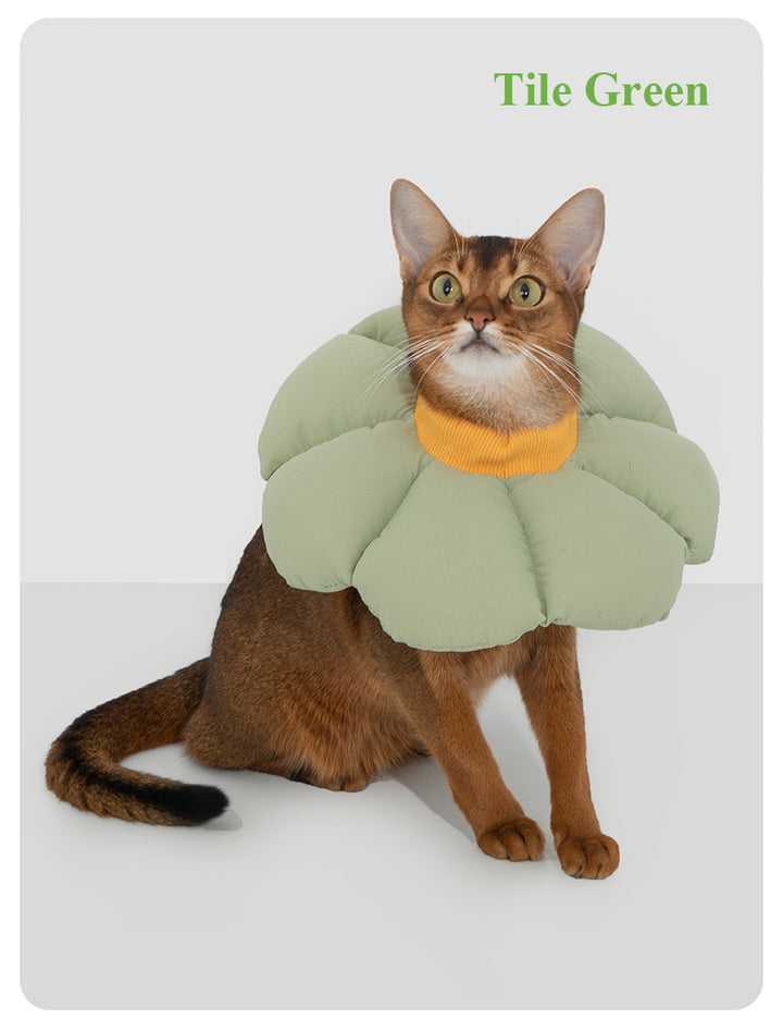 【Cats】Pet flower elizabethan collar