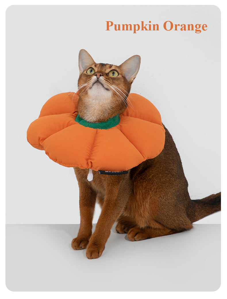 【Cats】Pet flower elizabethan collar